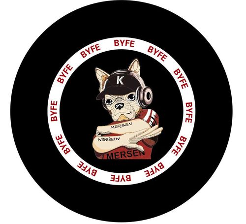 BYFE飞盘-电子数据存证